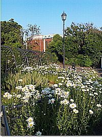 2015 5 22 1.jpg